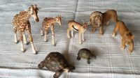 SCHLEICH ☆WILD Life☆Afrika• Löwe•Giraffe•Schildkröte Niedersachsen - Salzgitter Vorschau