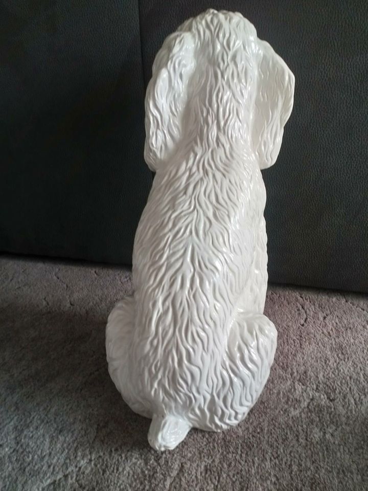 Porzellan Hund Porzellan Pudel Porzellan Figur Ptay Höhe ca 49 cm in Nassau