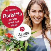 Wir suchen eine/n Florist*in in Vollzeit Nordrhein-Westfalen - Kevelaer Vorschau