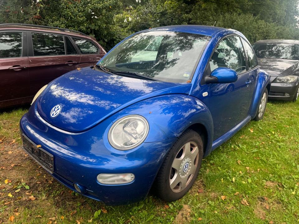 Volkswagen NEW BEETLE 1.4 16V*KLIMA*SHZ*NSW*LM*GJR*HU10/24* in Friedeburg