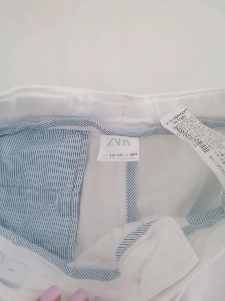 Shorts Zara Boys Gr. 164 in Lauda-Königshofen