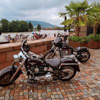 Harley Davidson Fat Boy Evo FXST 1994 Fatboy Softail Bayern - Großostheim Vorschau