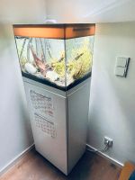 Aquarium Hobbyauflösung Fische Schrank neue Pumpe Futter Bayern - Gröbenzell Vorschau