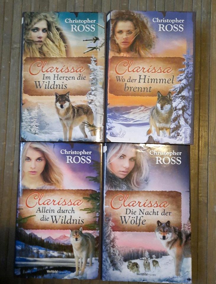 4x Clarissa Buch Alaska Saga sehr spannend mit Liebe & Poesie in Aurich
