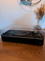 Plattenspieler Braun PS350 Retro Vintage Schallplattenspieler Hessen - Trebur Vorschau