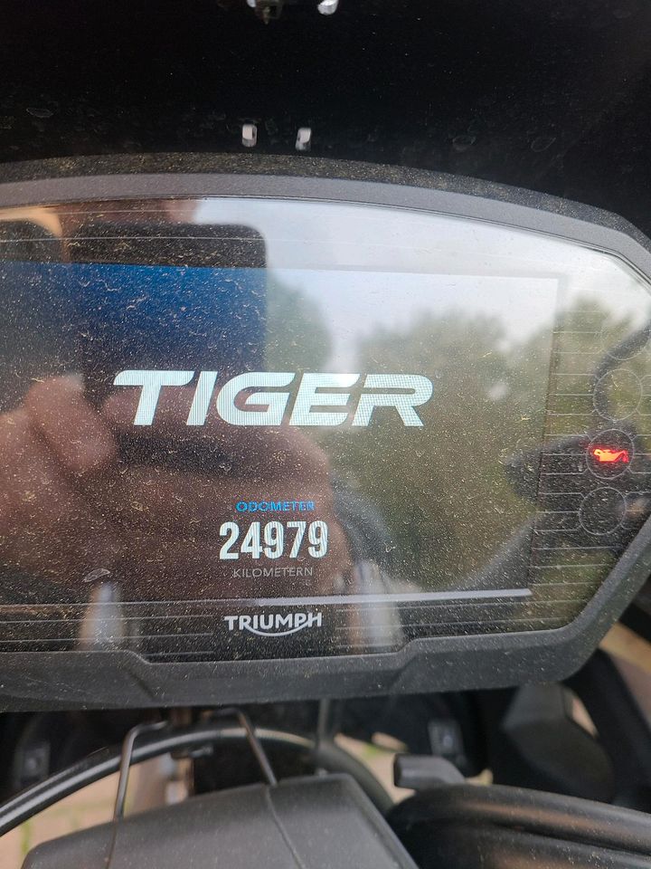 Triumph Tiger 1200 Desert Edition in Berlin