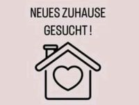 Suche: Gemütliche 1-2 Zimmer Wohnung in Velbert oder Umkreis Nordrhein-Westfalen - Velbert Vorschau