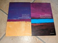 Angels und Nietzsche introduction Bayern - Großostheim Vorschau