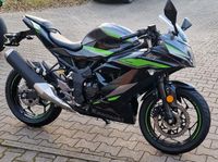 Kawasaki Ninja 125**Mod.2024 **500€ Starterbonus Bayern - Kammeltal Vorschau