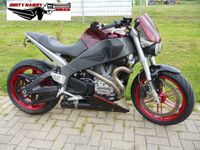 Buell XB12SCG Lightning low  2008  !  Service neu ! Freiburg im Breisgau - March Vorschau