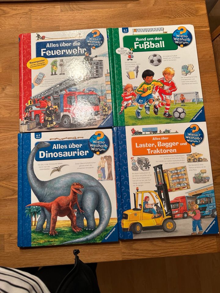 Wieso? Weshalb? Warum?-Bücher Feuerwehr, Dinosaurier,Fußball, Las in Alzey