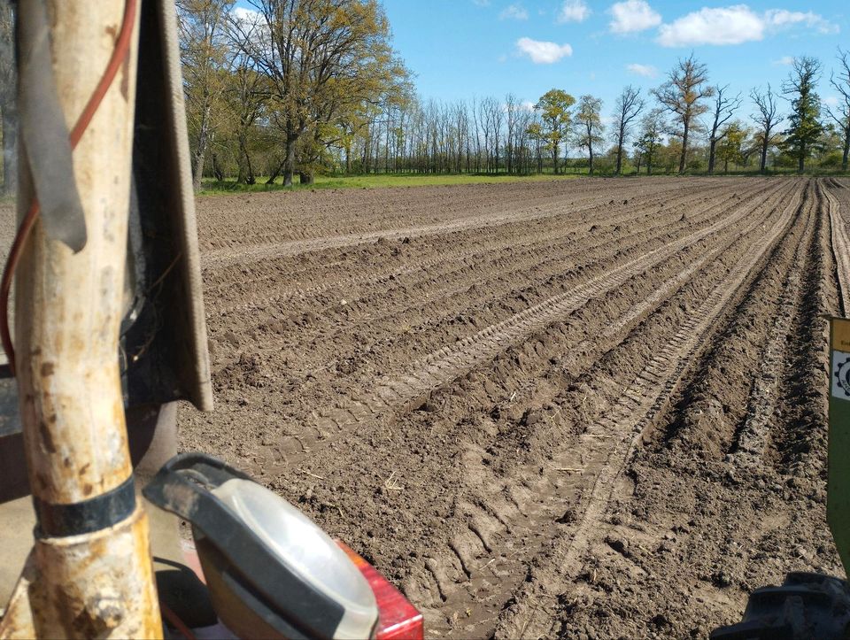 Kartoffel legen  in Lohn in Bismark (Altmark)