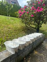 elho Vibia Blumenkasten, Balkonkasten, weiss, insg. 8 Stück Nordrhein-Westfalen - Lüdenscheid Vorschau