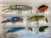 Tackle Box mit Ködern für Raubfisch Hecht Zander Barsch Brandenburg - Bernau Vorschau