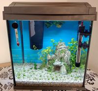 Tetra AquaArt LED Aquarium 30 L Hessen - Dornburg Vorschau