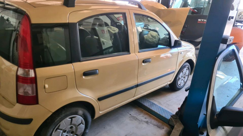 Fiat Panda Tür hinten Fahrertür Beifahrertür Heckklappe in Gevelsberg