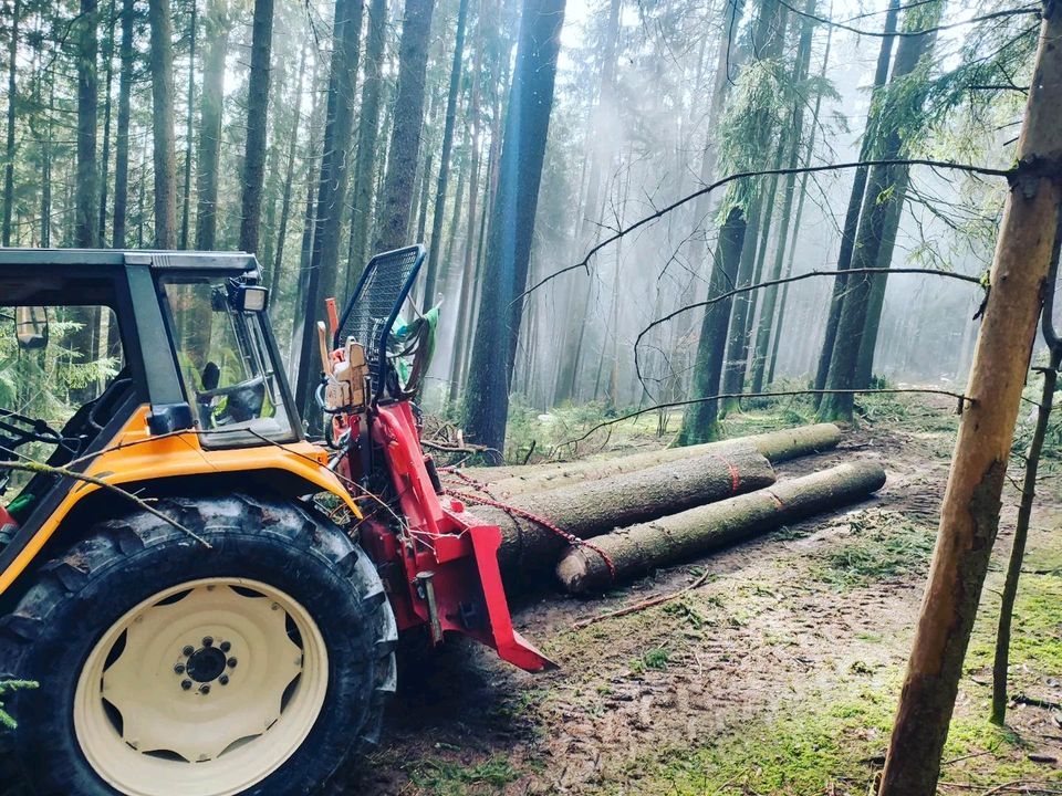 Baumfällung Zufäller Waldarbeiter Forstwirt in Neuenmarkt