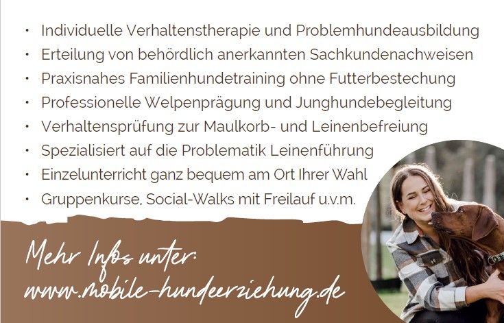 Einzeltraining, Hundeschule, mobiles Hundetraining, Hundetraining in Soest