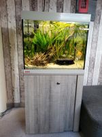 Aquarium von EHEIM 150 Liter Mecklenburg-Vorpommern - Stralsund Vorschau