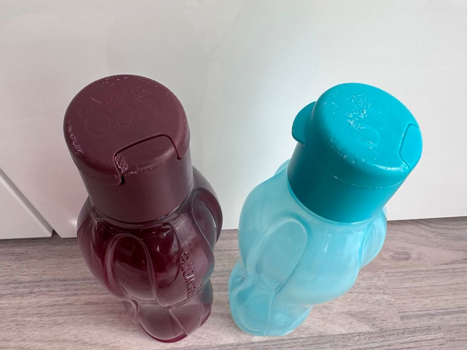 2x Tupperware Echo Easy 0,7l 700ml Flasche in Dreieich