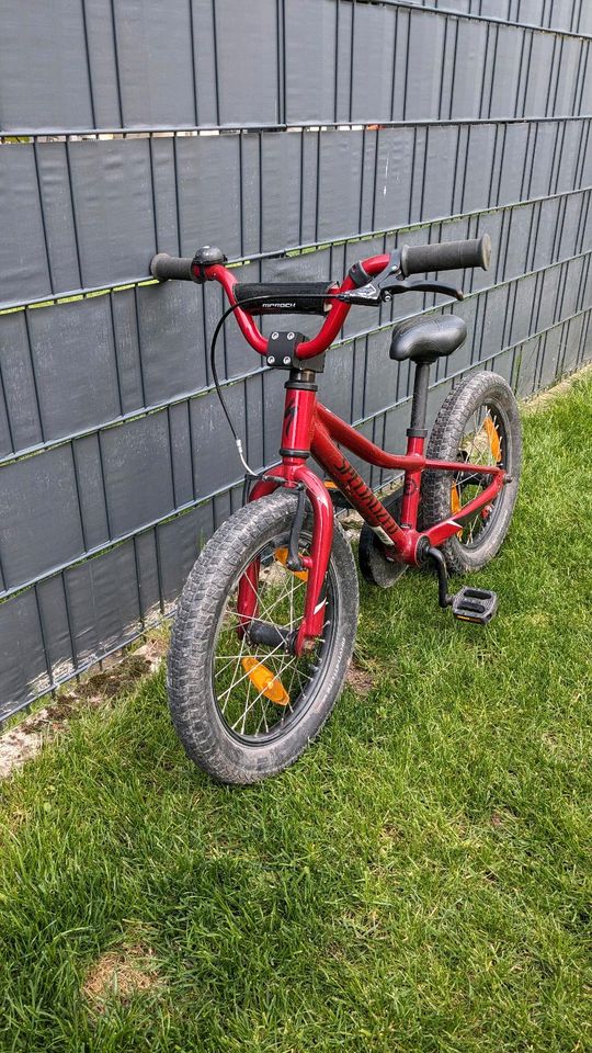 Specialized Riprock 16 Zoll Kinder Fahrrad mit Stützrädern in Großostheim