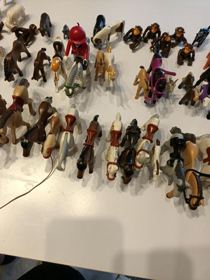 Playmobil Figuren in Eschede