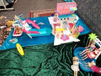 Barbie Traumschiff, Barbie Magie der Delfine großes Konvolut!! Kreis Pinneberg - Barmstedt Vorschau