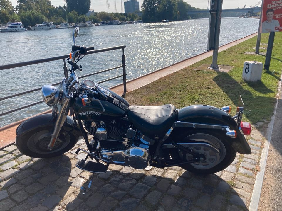 Harley Davidson Fat Boy VERGASER in Frankfurt am Main