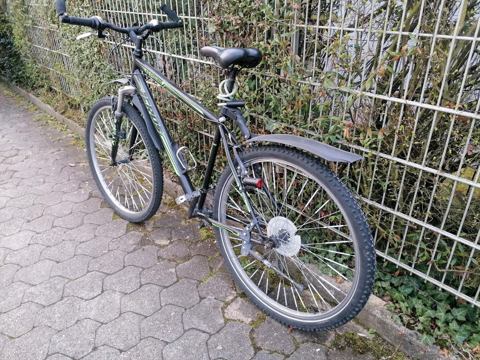 Fahrrad 29 Zoll mountainbike in Mühlacker
