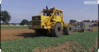 Gesucht wird Job in Agrar Landwirtschaft gesucht Nordrhein-Westfalen - Bottrop Vorschau