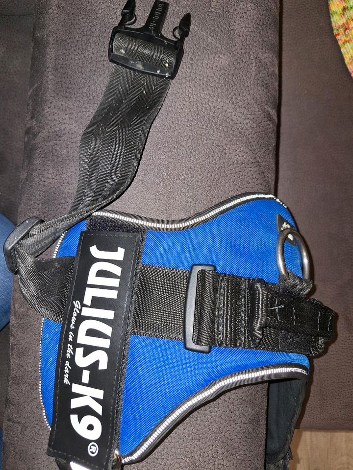 Julius K9 Geschirr Hundegeschirr Powerharness in Seggebruch