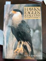Hawks Eagles & Falcons of North America Nordrhein-Westfalen - Vettweiß Vorschau