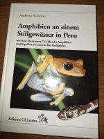 Schlüter-Amphibien an einem Stillgewässer in Peru, Chimaira Hessen - Lorch Vorschau