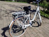 E Bike Pegasus solero 28er Brandenburg - Rüdersdorf Vorschau