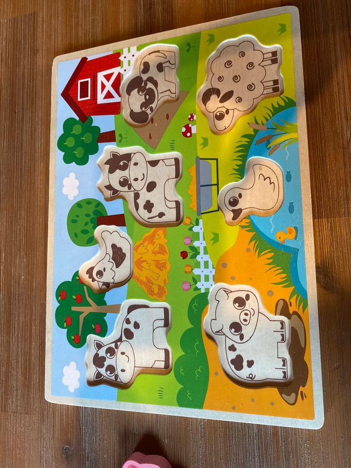 Setzspiel Puzzel für Kleinkinder in Kettig