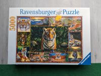 Puzzle Die Welt der Tiger Ravensburger 5000 Teile Bielefeld - Heepen Vorschau