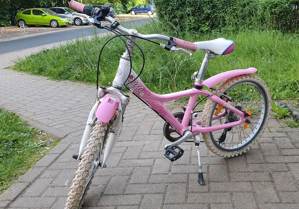 Mädchen Fahrrad in Heilbad Heiligenstadt