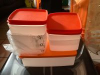 TUPPERWARE 5er GEFRIER SETS NEU Nordrhein-Westfalen - Hamm Vorschau