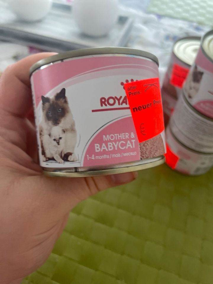 Royal Canin Mother & Babycat Nassfutter in Hagen