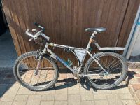 MTB 26 Zoll RS Bikes Baden-Württemberg - Hohenstein Vorschau