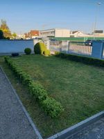 3 Zi Erdgeschosswohnung mit Garten Bayern - Ingolstadt Vorschau