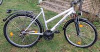 All Terrain Bike | Fahrrad | 26 Zoll Rheinland-Pfalz - Weißenthurm   Vorschau