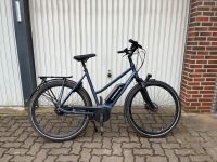Batavus Senero E-Fahrrad / Gr. 57 / 11 Monate alt Schleswig-Holstein - Nahe Vorschau