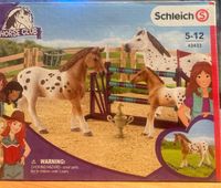 Schleich Horse Club, 42433, neuwertig Nordrhein-Westfalen - Gütersloh Vorschau