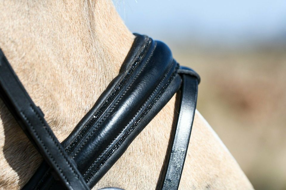 GLITZER TRENSEN shetty, pony, vb/cob, wb/full, kb/extra full €58,95 NEU in Rehburg-Loccum