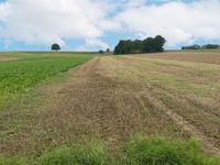 Ideal für Landwirte! Bayern - Eitensheim Vorschau