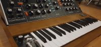 Moog Minimoog Model D Reissue Bayern - Heldenstein Vorschau