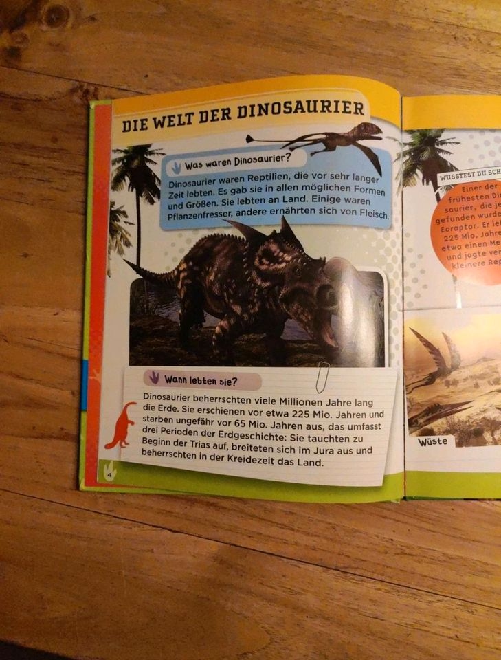 Buch Warum hatten Dinosaurier Schuppen in Aschau am Inn