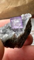 Fluorit Stufe (Mexiko) aus Edelstein Mineralien Sammlung München - Altstadt-Lehel Vorschau