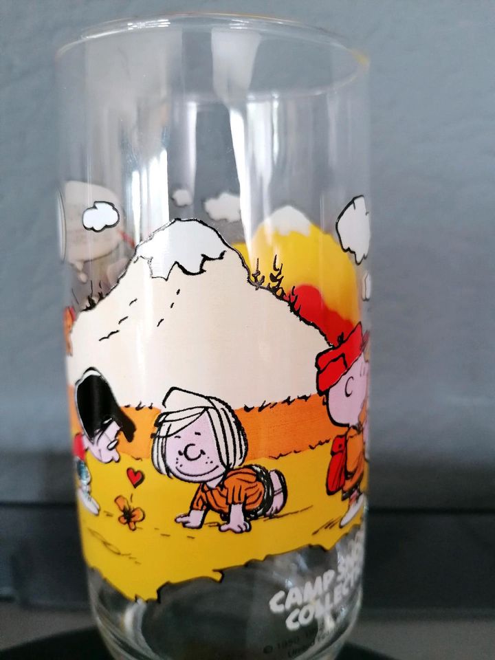 Snoopy, Charly Brown, Peanuts Camp. Snoopy Collection Glas in Mainhausen